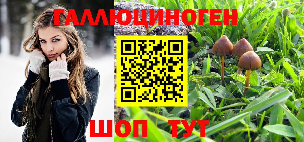 Медногорск  Галлюциногенные грибы прущие грибы  где можно купить   Вход с VPN 