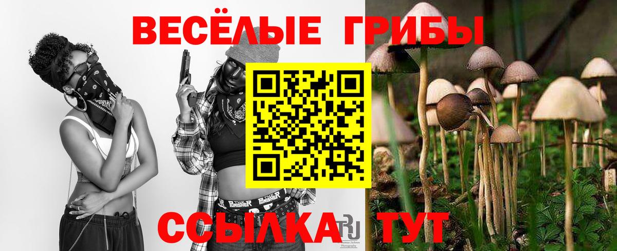 Галлюциногенные грибы мухоморы Медногорск